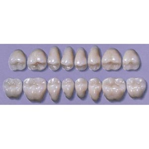 MYERSON DB SYN POST #32LL/70 (1x8 CARD) Card