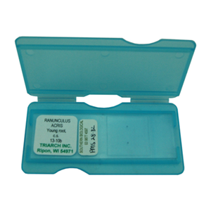 Livingstone Prepared Slide, 25 Bacteriology Slides, Each