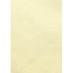 SPEC. PARCHMENT NATURAL 90GSM A4 100/PK Pack