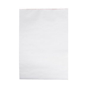 OFFICE PAD PLAIN A4 BANK G/REAGH 10/PK Pack