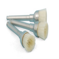 Alpine Bristle Brushes Jnr Whlra 12/pk Pack
