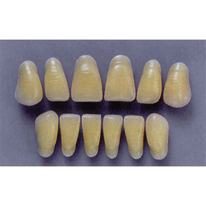 ULTRADENT ANT. 1N/62 UPPER (1x6 CARD) Card