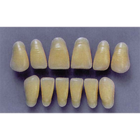 ULTRADENT ANT. 1N/65 UPPER (1x6 CARD) Card