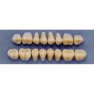 ULTRADENT POST. 29L/59 LOWER (1x8 CARD) Card