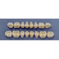 ULTRADENT POST. 29M/66 LOWER (1x8 CARD) Card