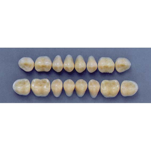 ULTRADENT POST. 29M/66 LOWER (1x8 CARD) Card