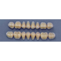 ULTRADENT POST. 29S/A2 LOWER (1x8 CARD) Card