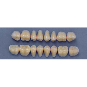 ULTRADENT POST. 29S/81 UPPER (1x8 CARD) Card