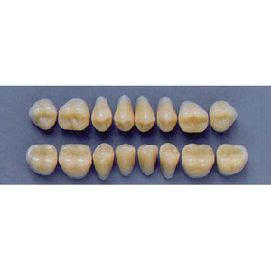 ULTRADENT POST 30L/A3 LOWER (1x8 CARD) Card