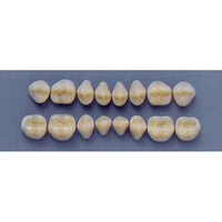 ULTRADENT POST 30S/A3 UPPER (1x8 CARD) Card