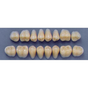 ULTRADENT POST. 31L/59 LOWER (1x8 CARD) Card