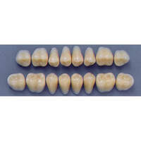 ULTRADENT POST. 31L/67 LOWER (1x8 CARD) Card
