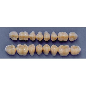 ULTRADENT POST. 31M/65 LOWER (1x8 CARD) Card
