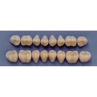 ULTRADENT POST. 31M/81 UPPER (1x8 CARD) Card