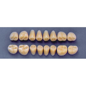 ULTRADENT POST. 31Z/69 LOWER (1x8 CARD) Card