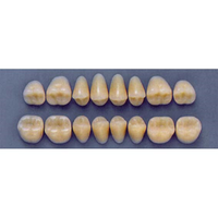 ULTRADENT POST. 32F/A3 LOWER (1x8 CARD) Card