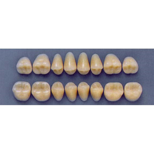 ULTRADENT POST. 32F/A2 UPPER (1x8 CARD) Card