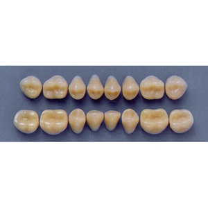 ULTRADENT POST 32M/65 UPPER (1x8 CARD) Card