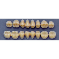 ULTRADENT POST. 33F/66 LOWER (1x8 CARD) Card