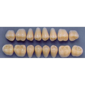 ULTRADENT POST. 33L/A2 LOWER (1x8 CARD) Card