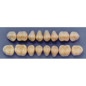 ULTRADENT POST. 33M/77 UPPER (1x8 CARD) Card