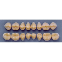 ULTRADENT POST 34M/65 LOWER (1x8 CARD) Card