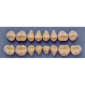 ULTRADENT POST 34M/66 UPPER (1x8 CARD) Card