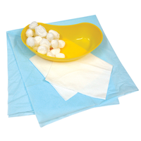 Sterile Vaginal Examination Pack 30 packs/carton Carton